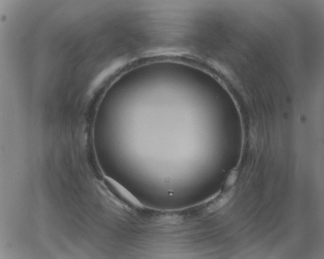 X0000062891406200601201834