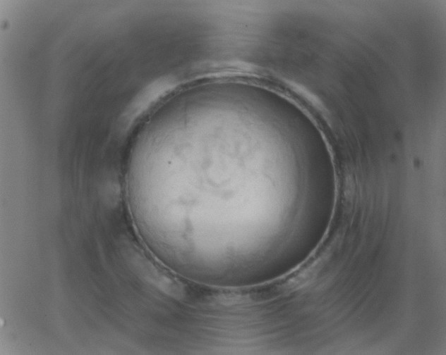 X0000062891407200601201834