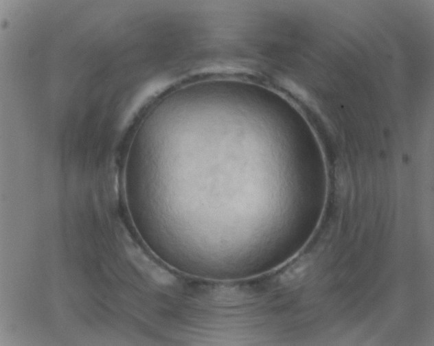 X0000062891408200601201834