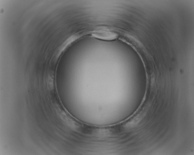 X0000062891409200601201834