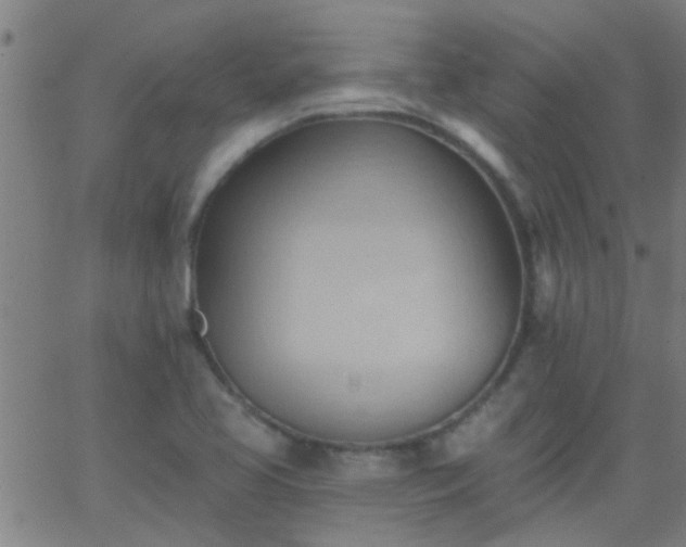 X0000062891413200601201834