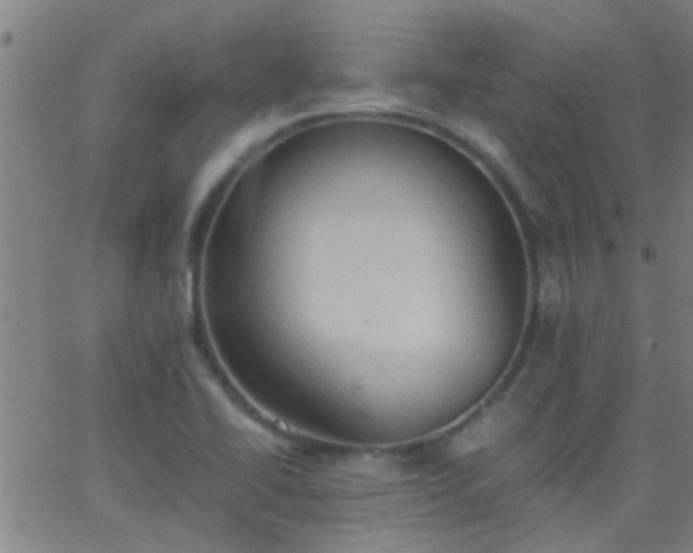 X0000062891414200601201834