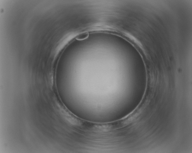 X0000062891415200601201834