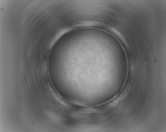 X0000062891417200601201834