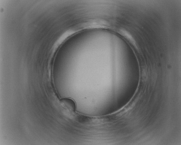 X0000062891419200601201834