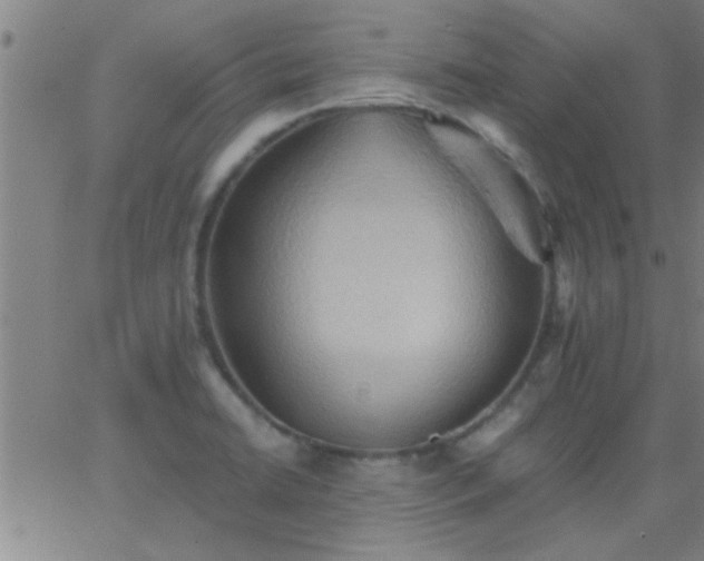 X0000062891422200601201834