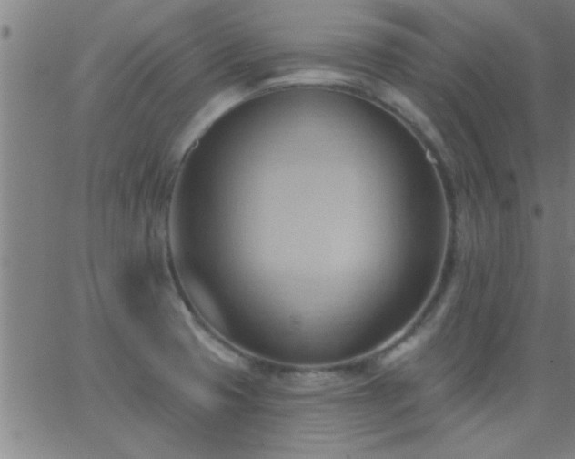 X0000062891425200601201834