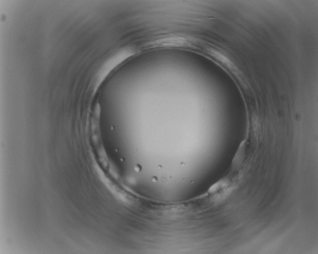 X0000062891426200601201834