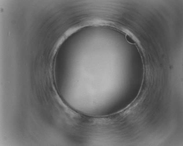 X0000062891429200601201834