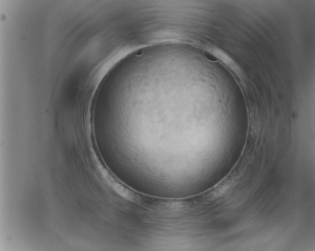 X0000062891431200601201834