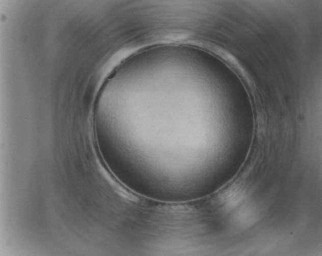 X0000062891432200601201834