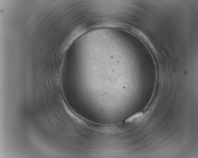 X0000062891433200601201834