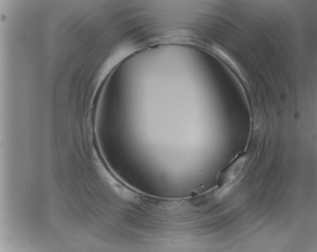 X0000062891434200601201834