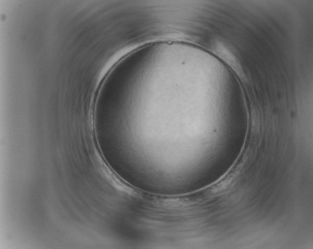 X0000062891436200601201834