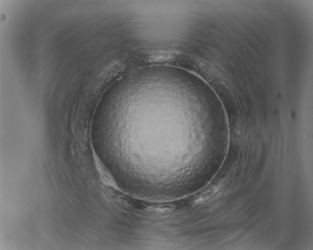 X0000062891441200601201834