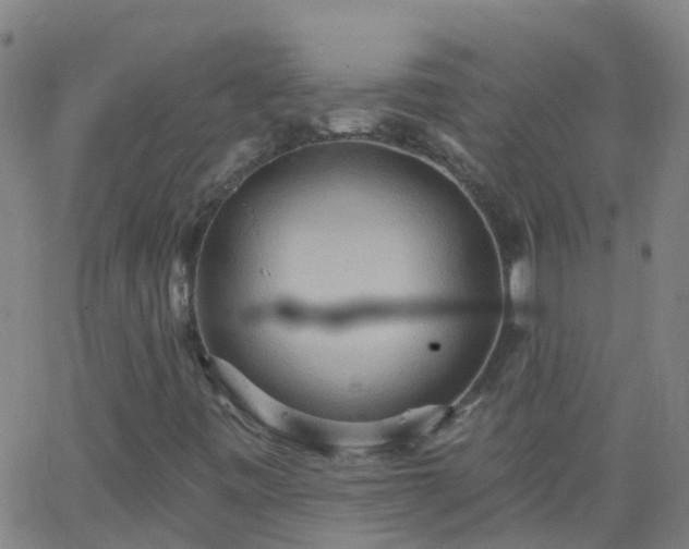 X0000062891443200601201834