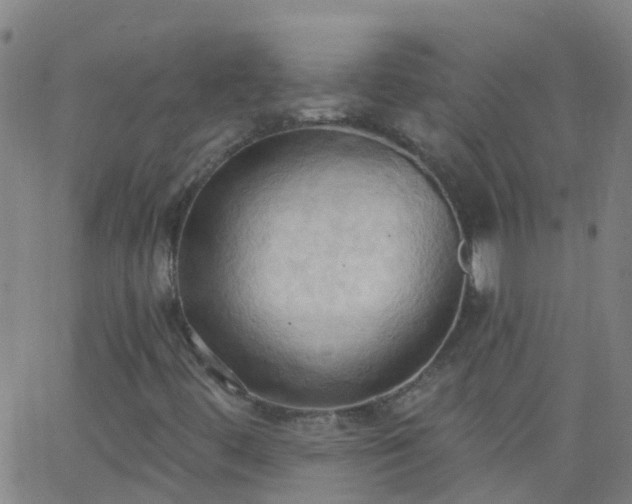 X0000062891444200601201834