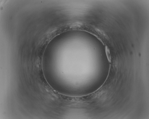 X0000062891445200601201834