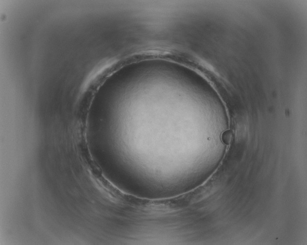 X0000062891448200601201834