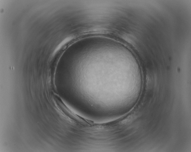 X0000062891450200601201834