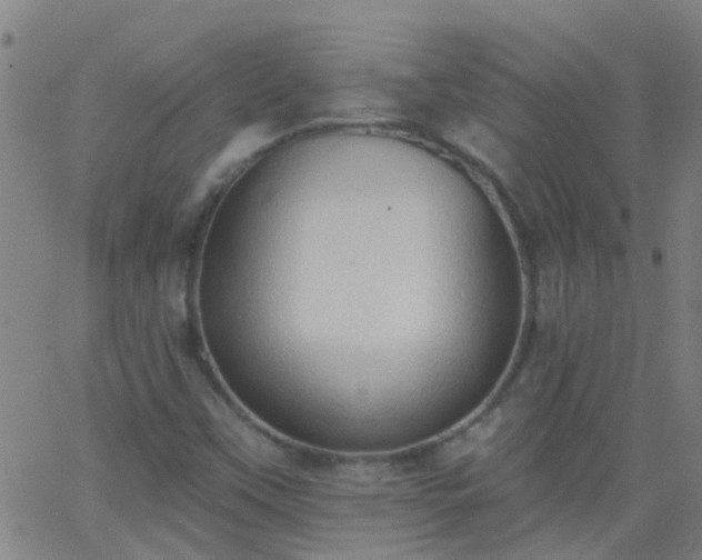 X0000062891451200601201834