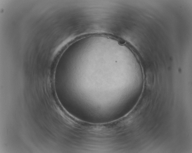 X0000062891452200601201833