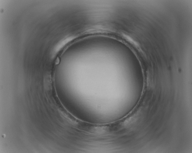 X0000062891453200601201833