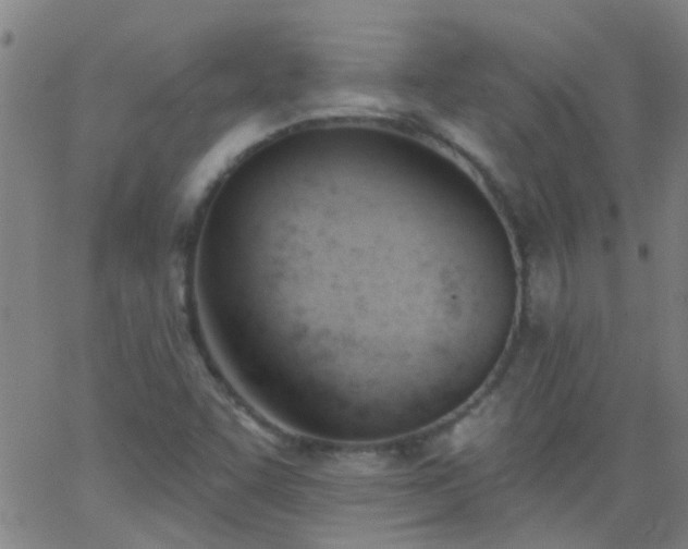 X0000062891455200601201833