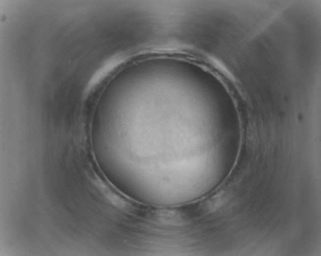 X0000062891456200601201833