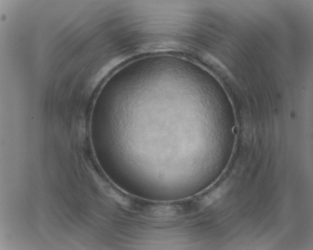 X0000062891457200601201833