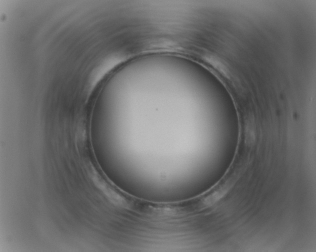 X0000062891458200601201833