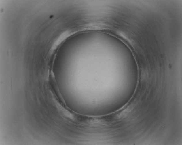 X0000062891459200601201833