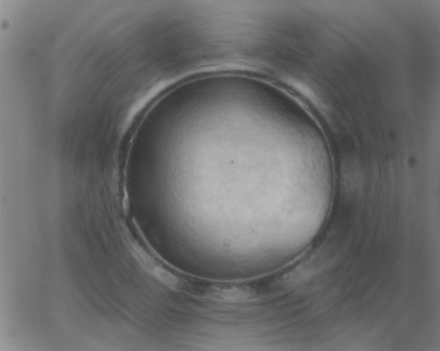 X0000062891460200601201833