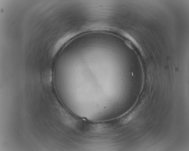 X0000062891461200601201833