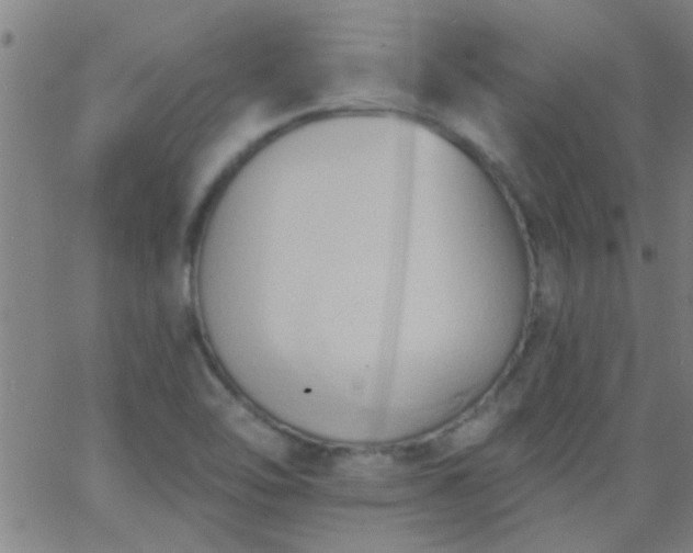 X0000062891462200601201833