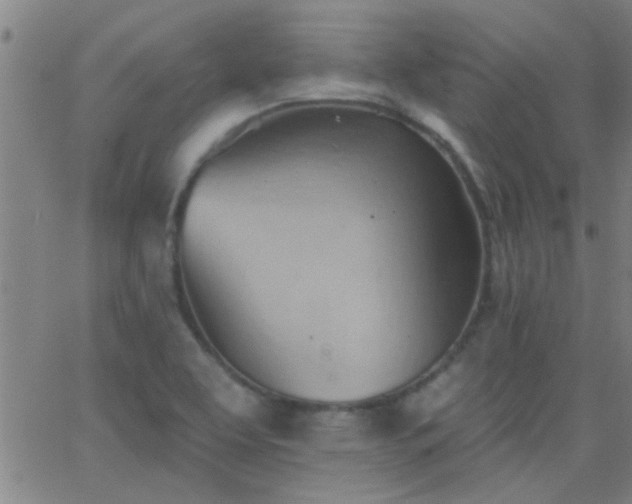 X0000062891463200601201833