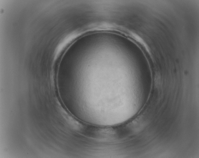 X0000062891464200601201833