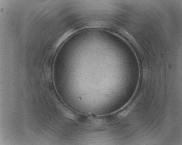 X0000062891465200601201833