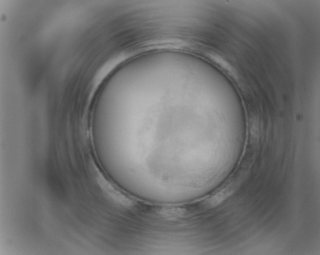 X0000062891466200601201833