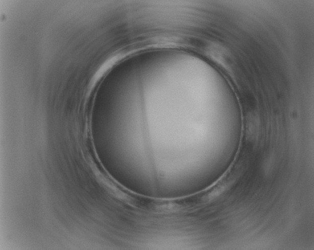 X0000062891467200601201833