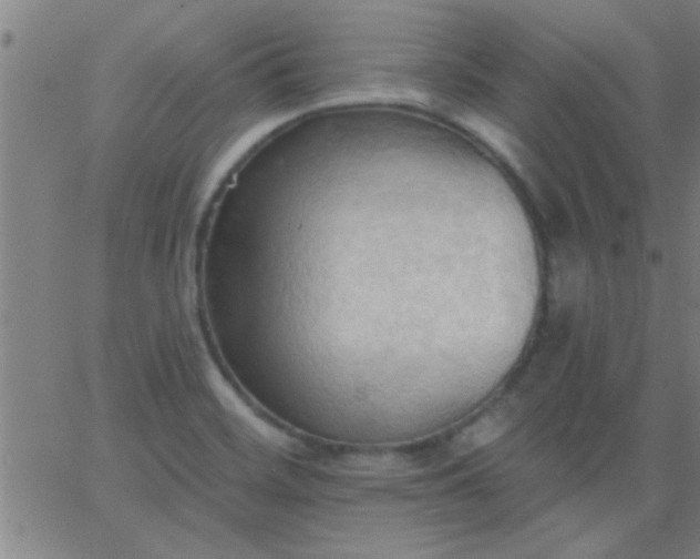 X0000062891468200601201833