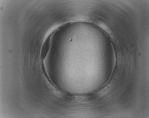 X0000062891469200601201833