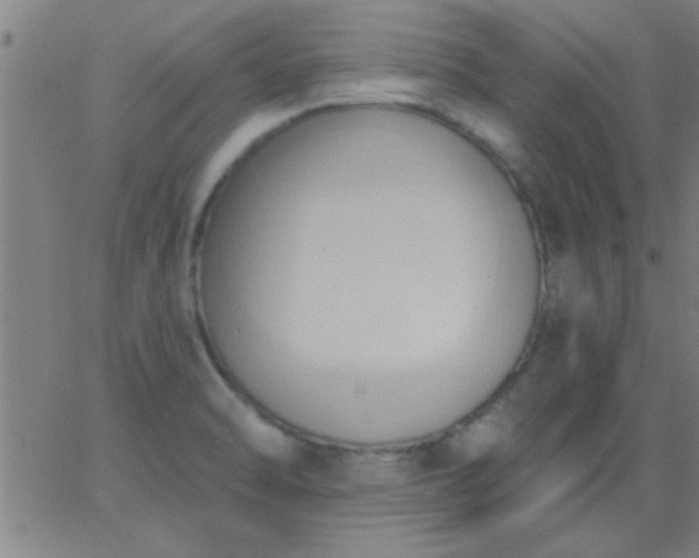 X0000062891470200601201833