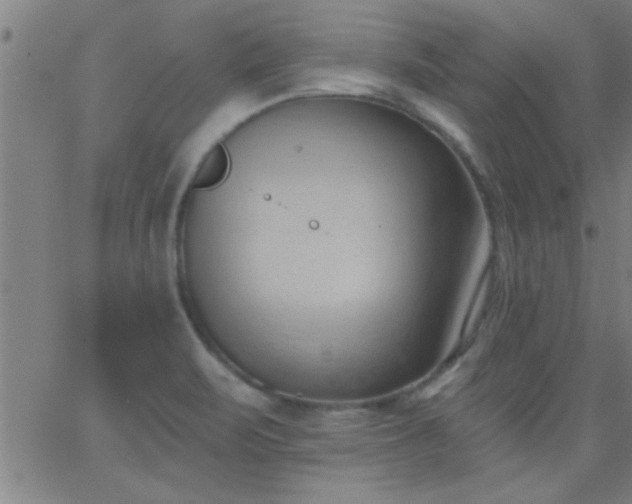 X0000062891471200601201833