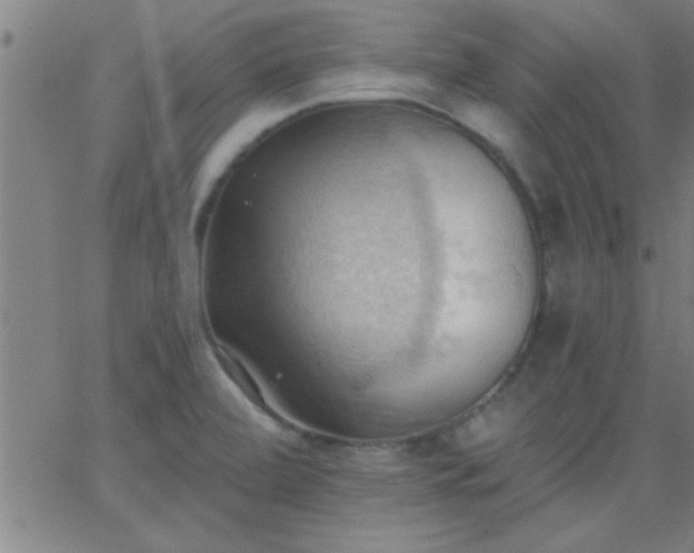 X0000062891472200601201833