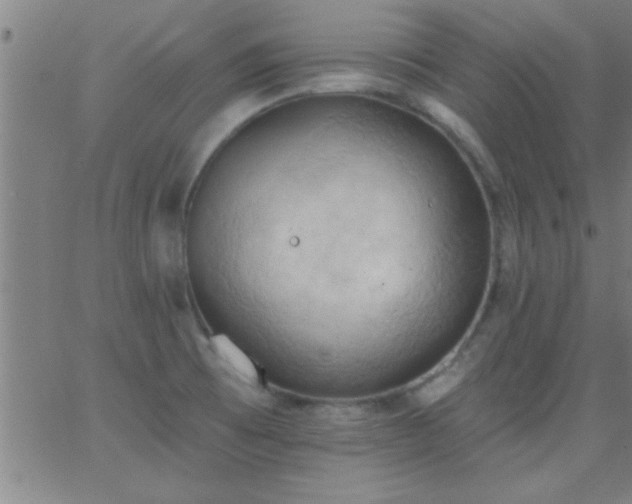 X0000062891473200601201833