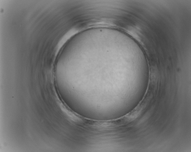 X0000062891474200601201833