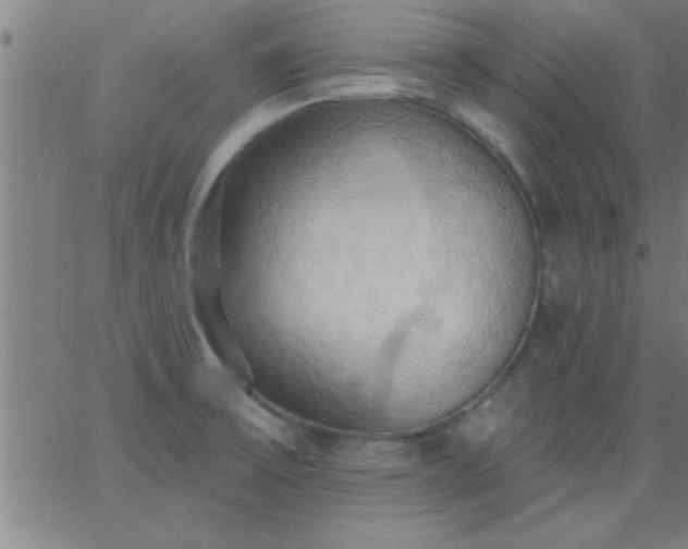 X0000062891475200601201833