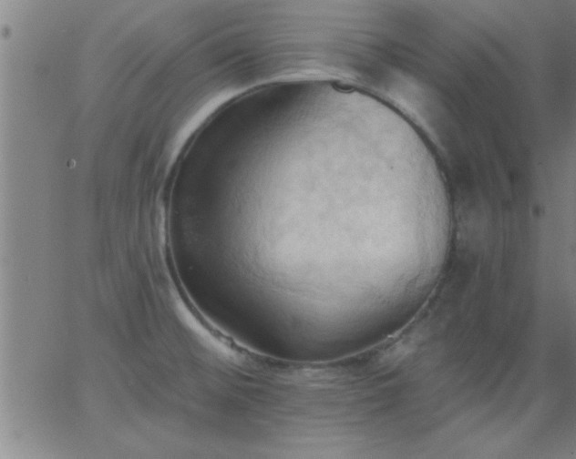 X0000062891476200601201833