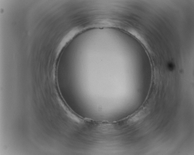 X0000062891477200601201833